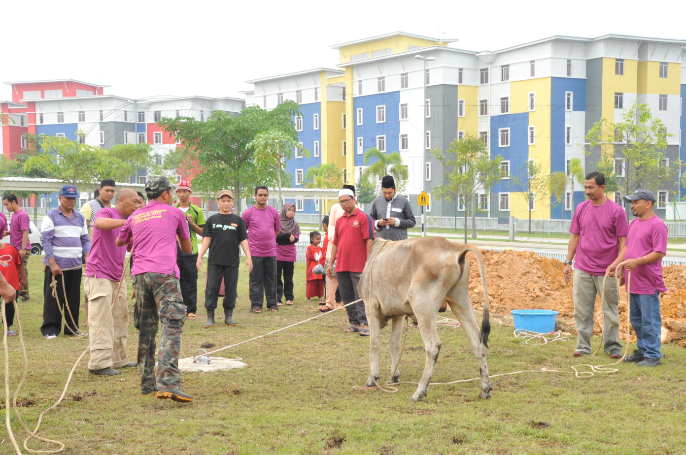 PRO15 150 KORBAN HAS 6798